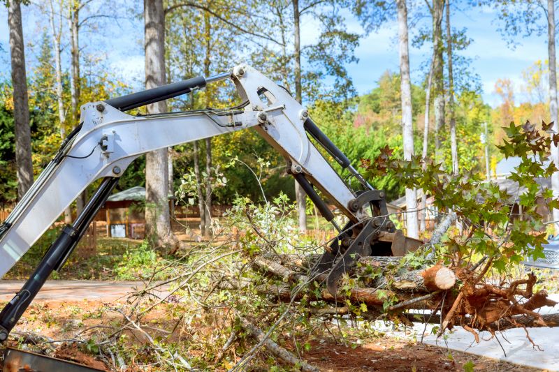 Increase Your Forestry Cleaning Business with an AI Driven, Targeted Website