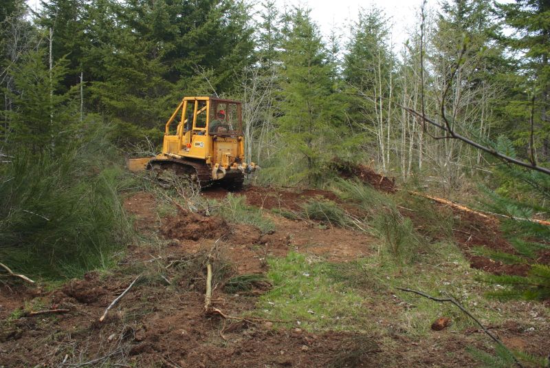 Enhances wildlife habitats