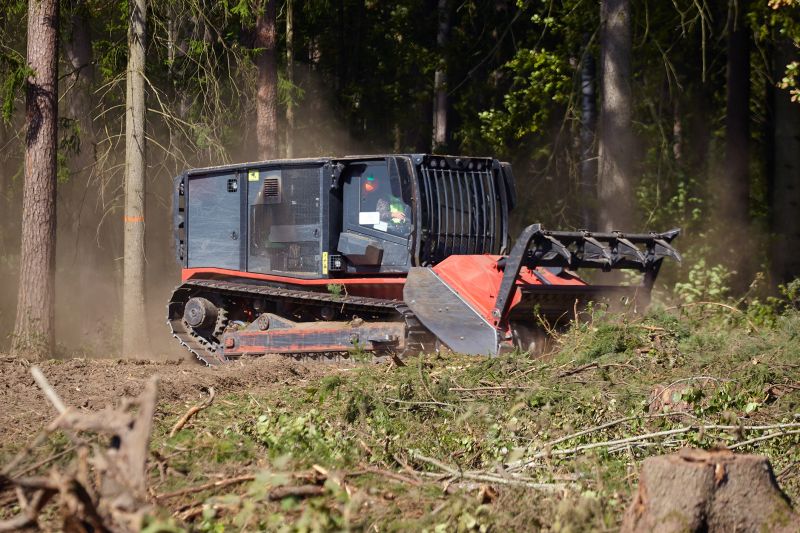 Forestry Cleaning