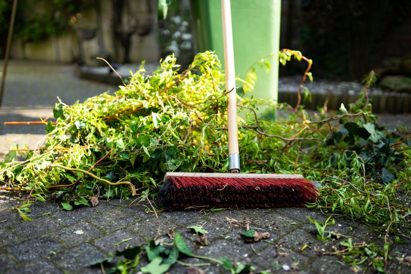 Forestry Cleaning