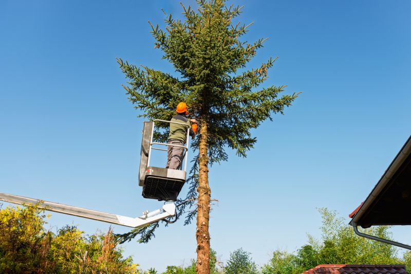 Seasonal Tree Management