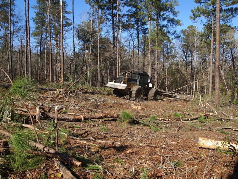 Expert Land Clearing Equipment
