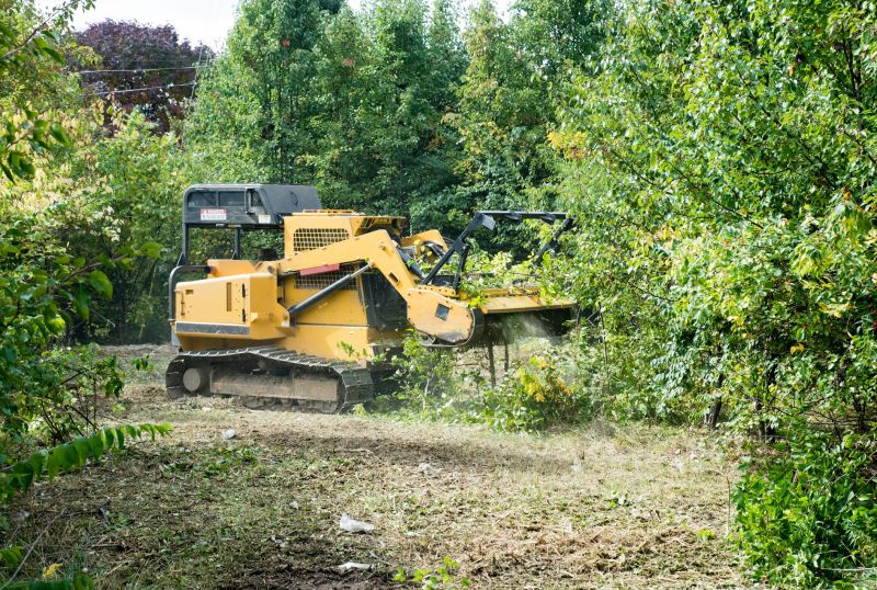 Property Line Clearing in Gwinnett County, GA